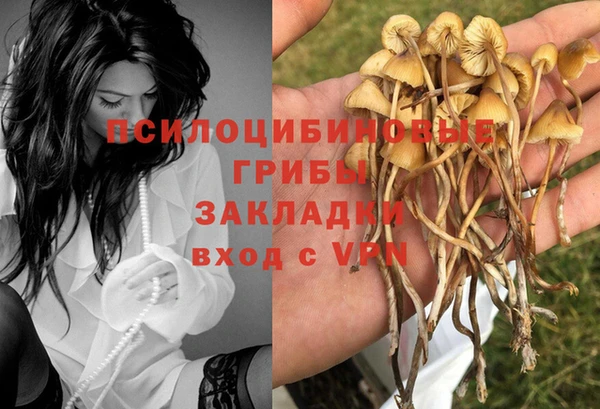 круглые Ладушкин